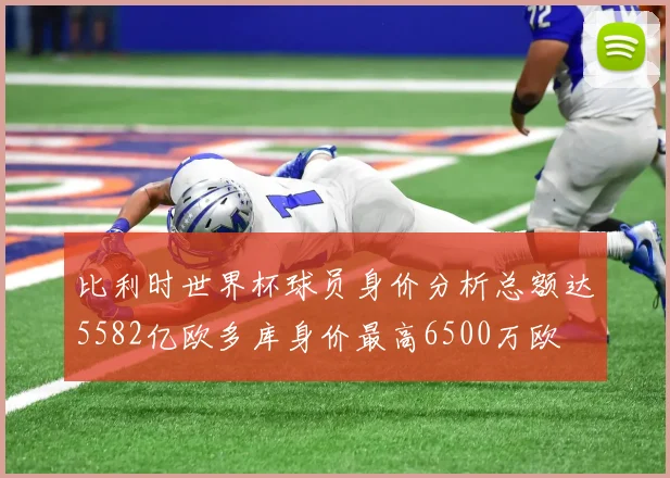 比利时世界杯球员身价分析总额达5582亿欧多库身价最高6500万欧