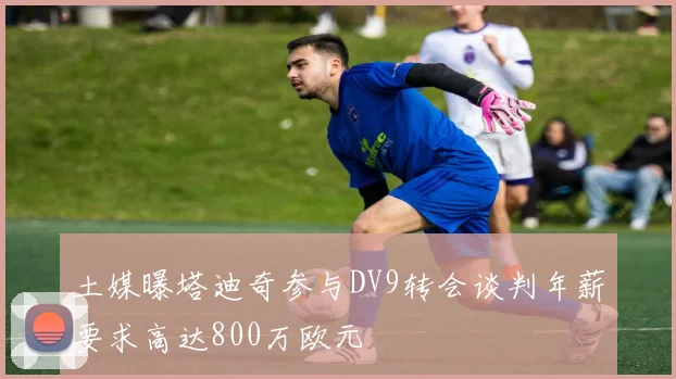 土媒曝塔迪奇参与DV9转会谈判年薪要求高达800万欧元